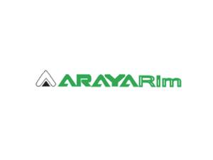ARAYA Wheel Rims