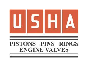 USHA piston kits and rings